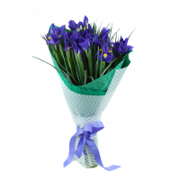 Букет из ирис